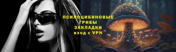 сатива Алзамай
