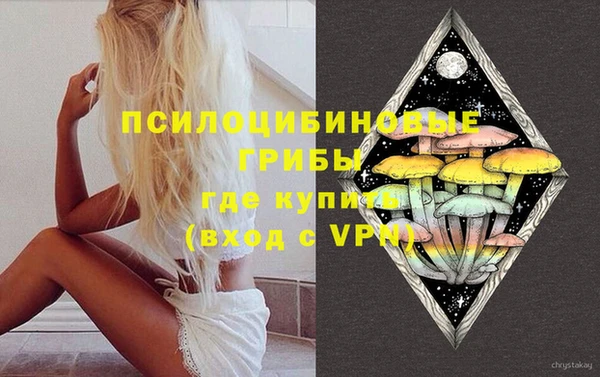 сатива Алзамай